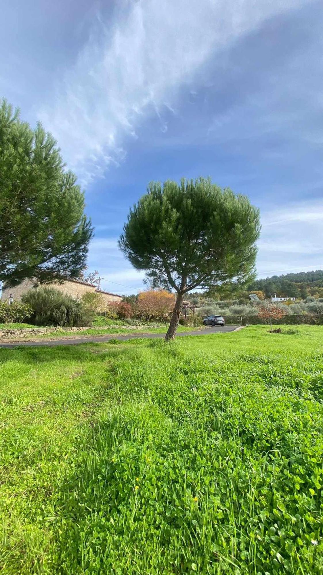 Casas Do Minerio Villa Guarda Eksteriør bilde